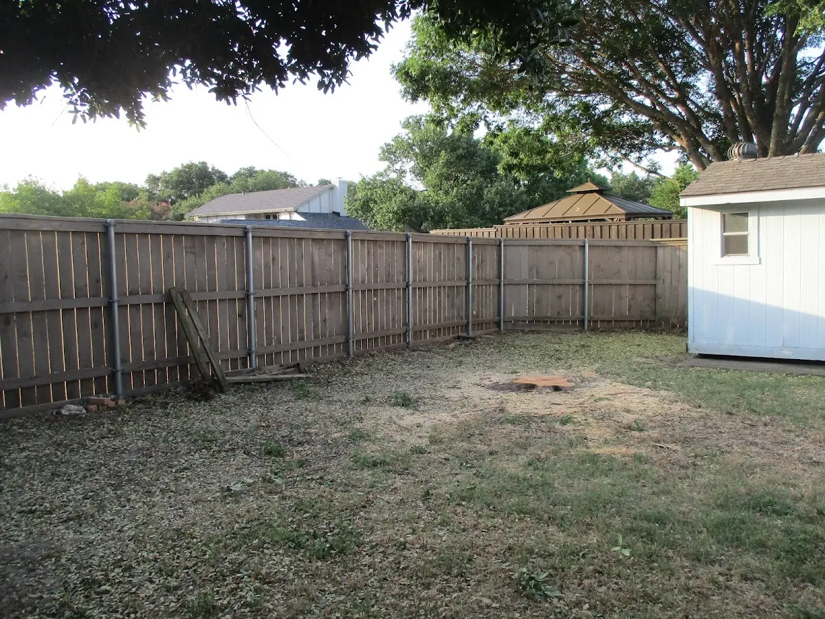 Cleared yard after professional tree removal in Union
